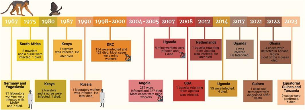Timeline of global Marburgvirus disease cases to date.