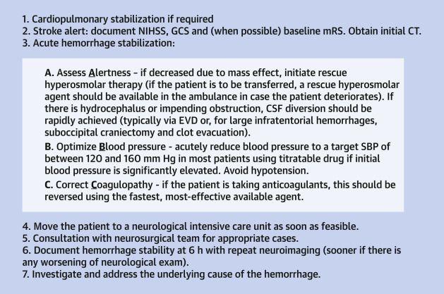Typical Acute Intracerebral Hemorrhage Workflow