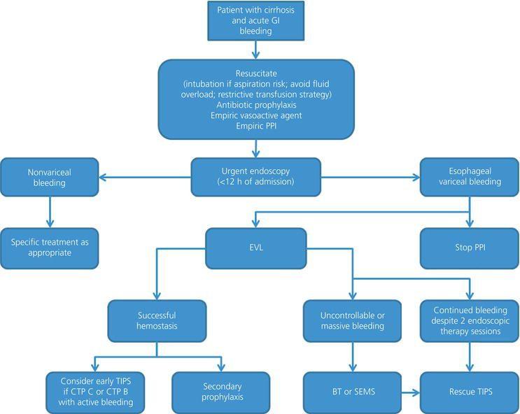 Management algorithm for acute gastrointestinal (GI) bleeding in patients with cirrhosis. BT, balloon tamponade; CTP, Child–Turcotte–Pugh; EVL, endoscopic variceal ligation; PPI, proton pump inhibitor; SEMS, self‐expandable metal stent; TIPS, transjugular intrahepatic portosystemic shunt.