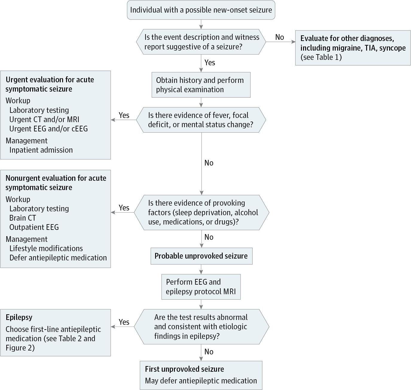 Suggested Systematic Approach to Patients With New-Onset Seizure