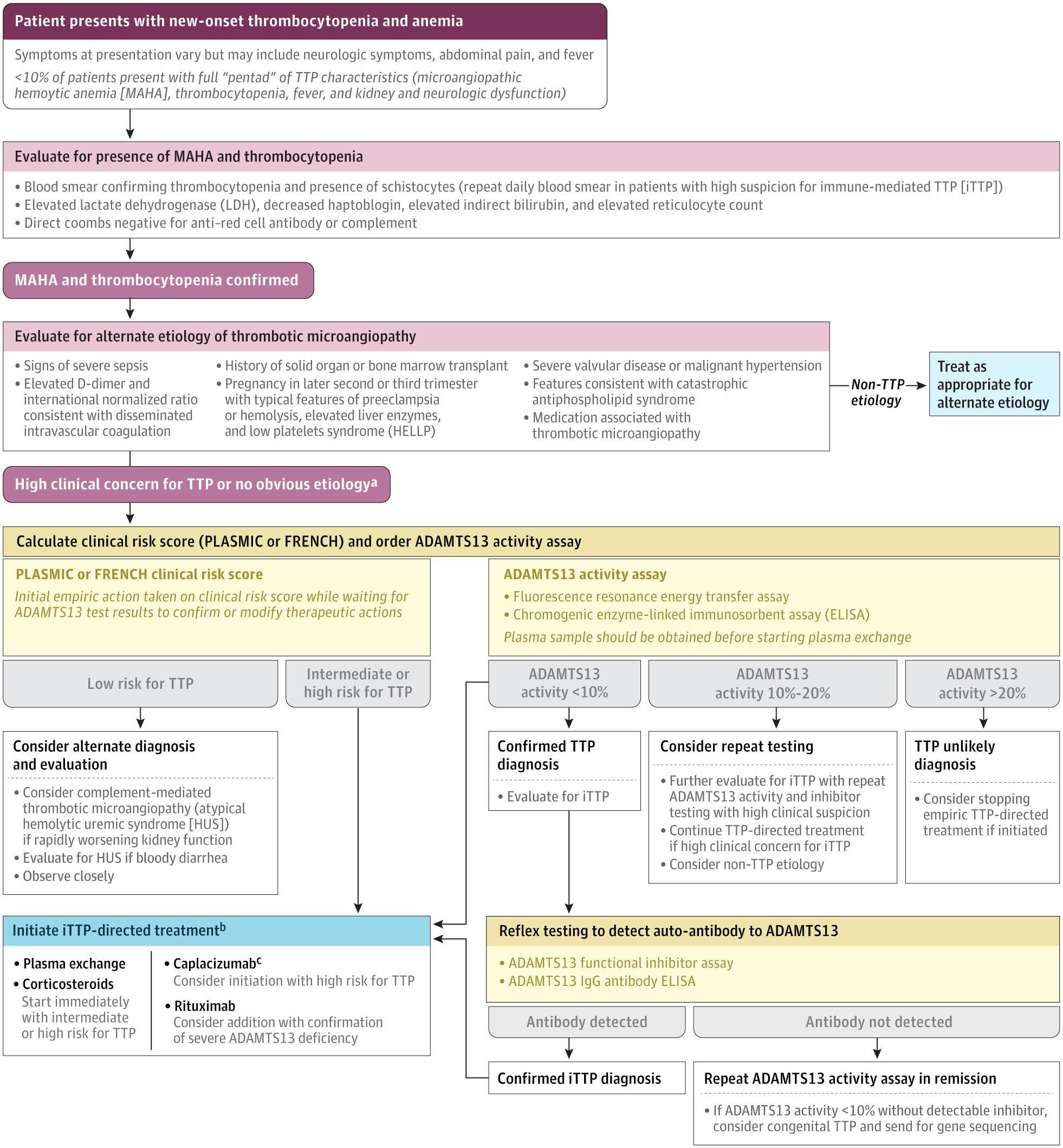 Initial Diagnostic Workflow for Patients With Suspected Thrombotic Thrombocytopenic Purpura