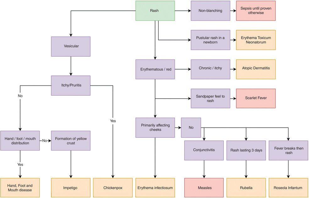 Diagnostic algorithm for the presentation of childhood rash.