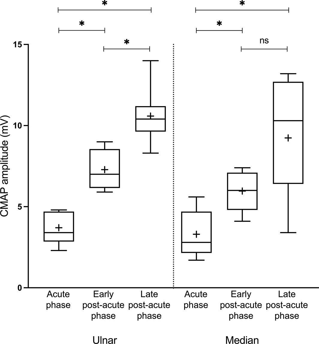 Ulnar‐ and median‐nerve CMAP amplitudes.