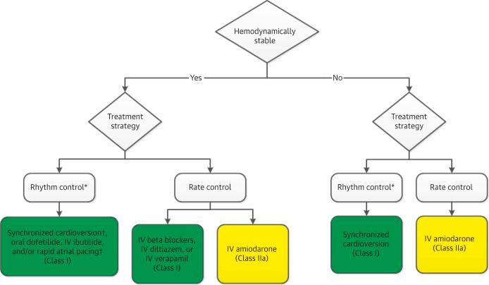 Acute Treatment of Atrial Flutter