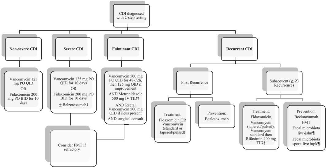 Management algorithm for initial and recurrent CDI.