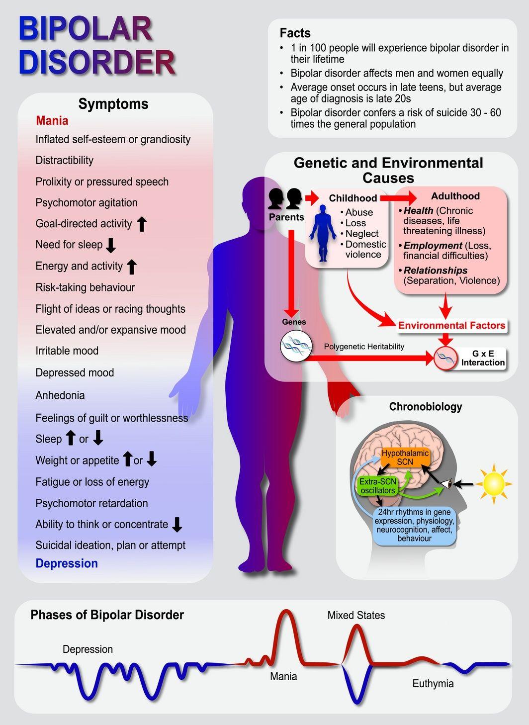 Summary of Bipolar Disorder.
