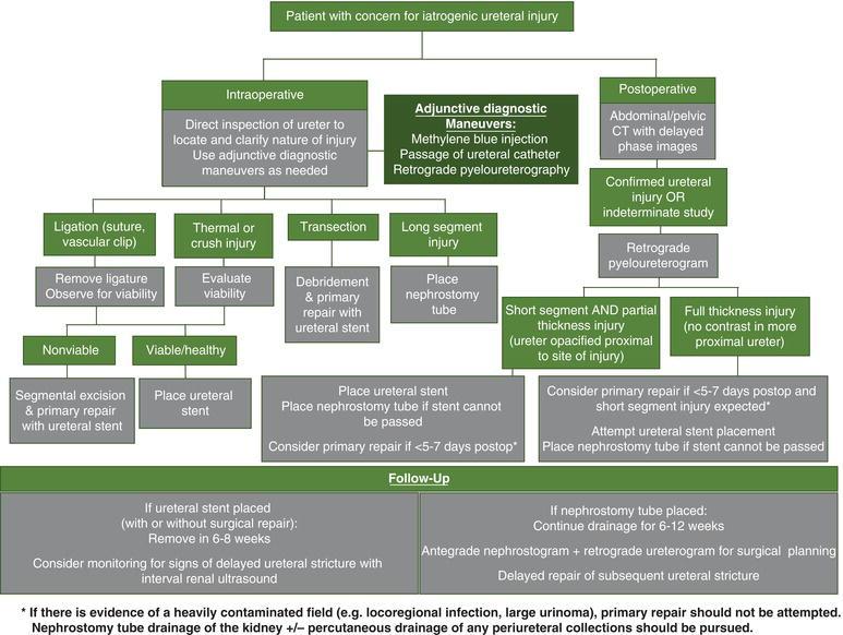 Algorithm for the evaluation and management of iatrogenic ureteral injury detected intra‐operatively and post‐operatively. Source: courtesy Alexander Skokan, MD, University of Washington.