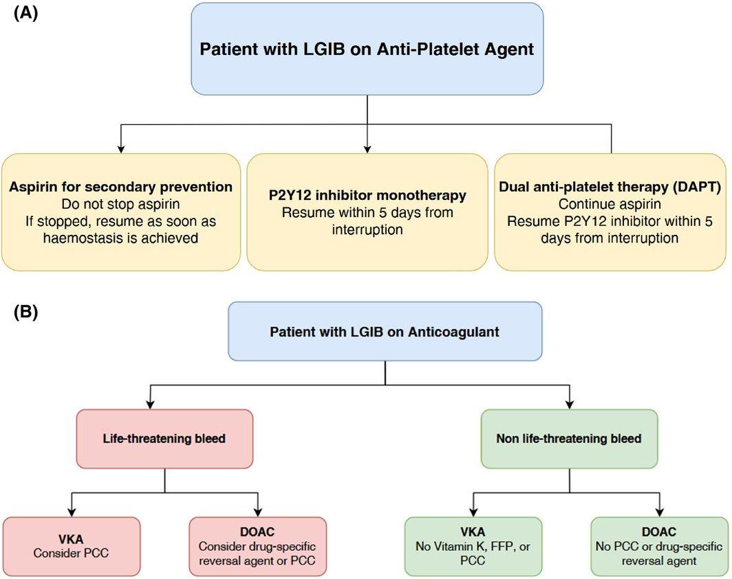 (A) Approach to patients on anti‐platelet agents presenting with acute LGIB (modified from Alali 30 ).