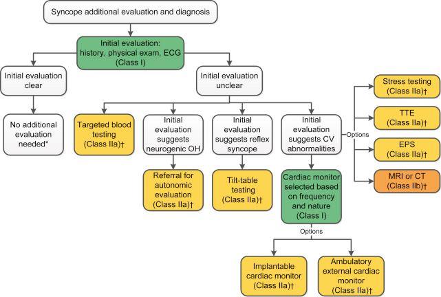Additional Evaluation and Diagnosis for Syncope