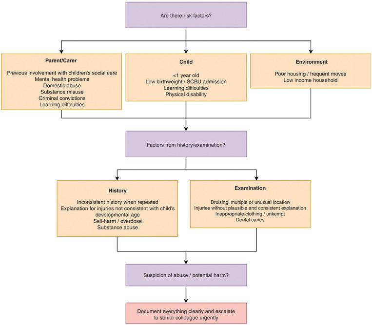 Factors to consider when assessing the probability of safeguarding issues.