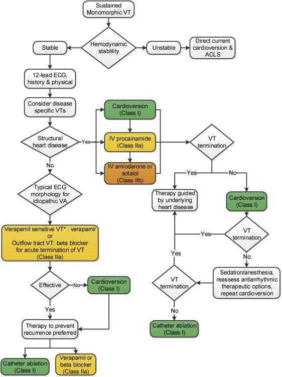 Figure 2. Management of Sustained Monomorphic VT