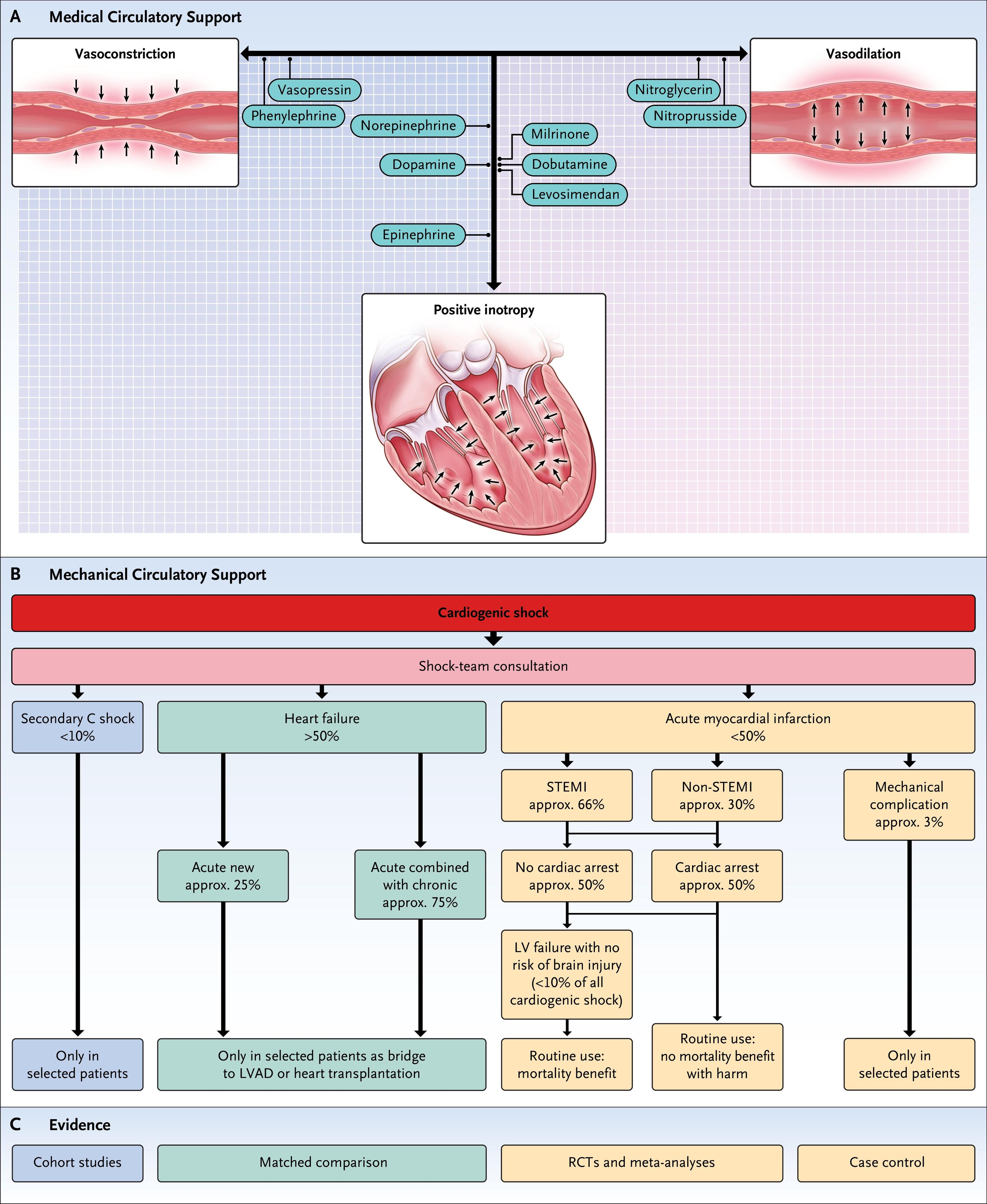 Medical and Mechanical Circulatory Support.