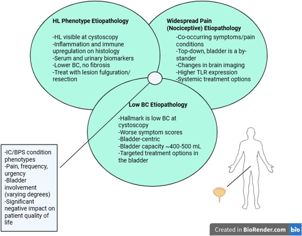 Venn Diagram of Etiopathology for Each Phenotype.