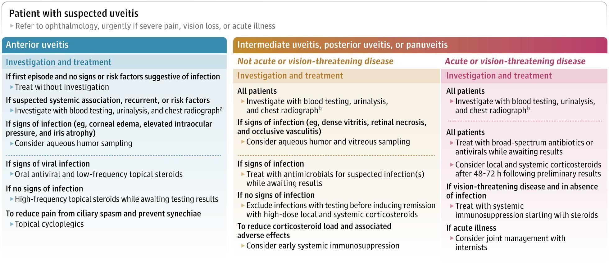 Algorithm for the Initial Investigation and Management of Care for Patients With Possible Uveitis