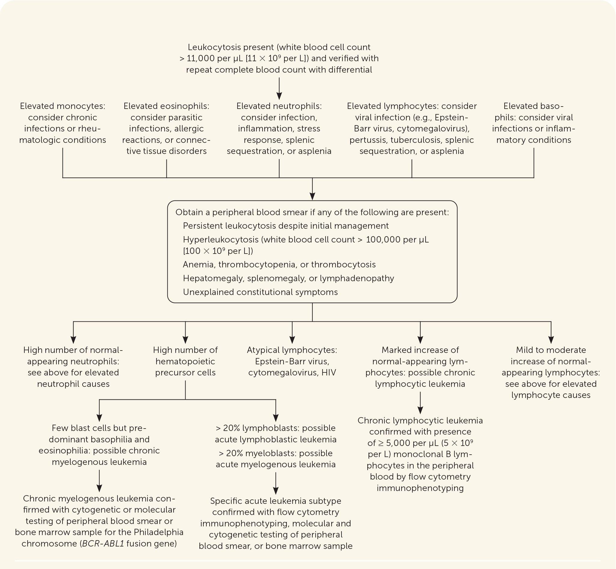 Algorithm for the evaluation of possible leukemia. Adapted with permission from Davis AS, Viera AJ, Mead MD. Leukemia: an overview for primary care. Am Fam Physician. 2014;89(9):734.