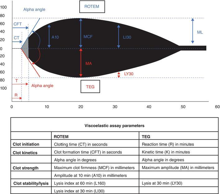 Viscoelastic assay parameters.