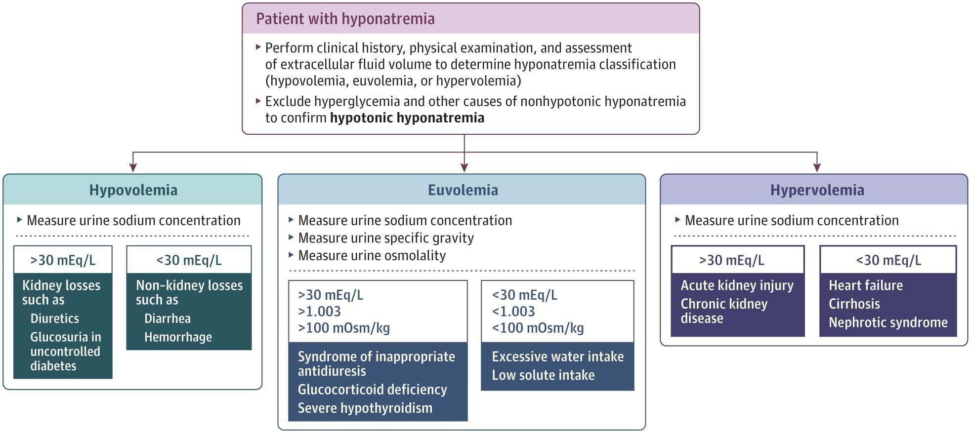 Clinical Approach to Hypotonic Hyponatremia