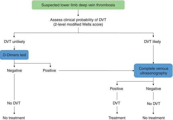 Diagnostic algorithm for lower‐limb DVT. DVT, deep vein thrombosis. Source: Modified from Bates et al.