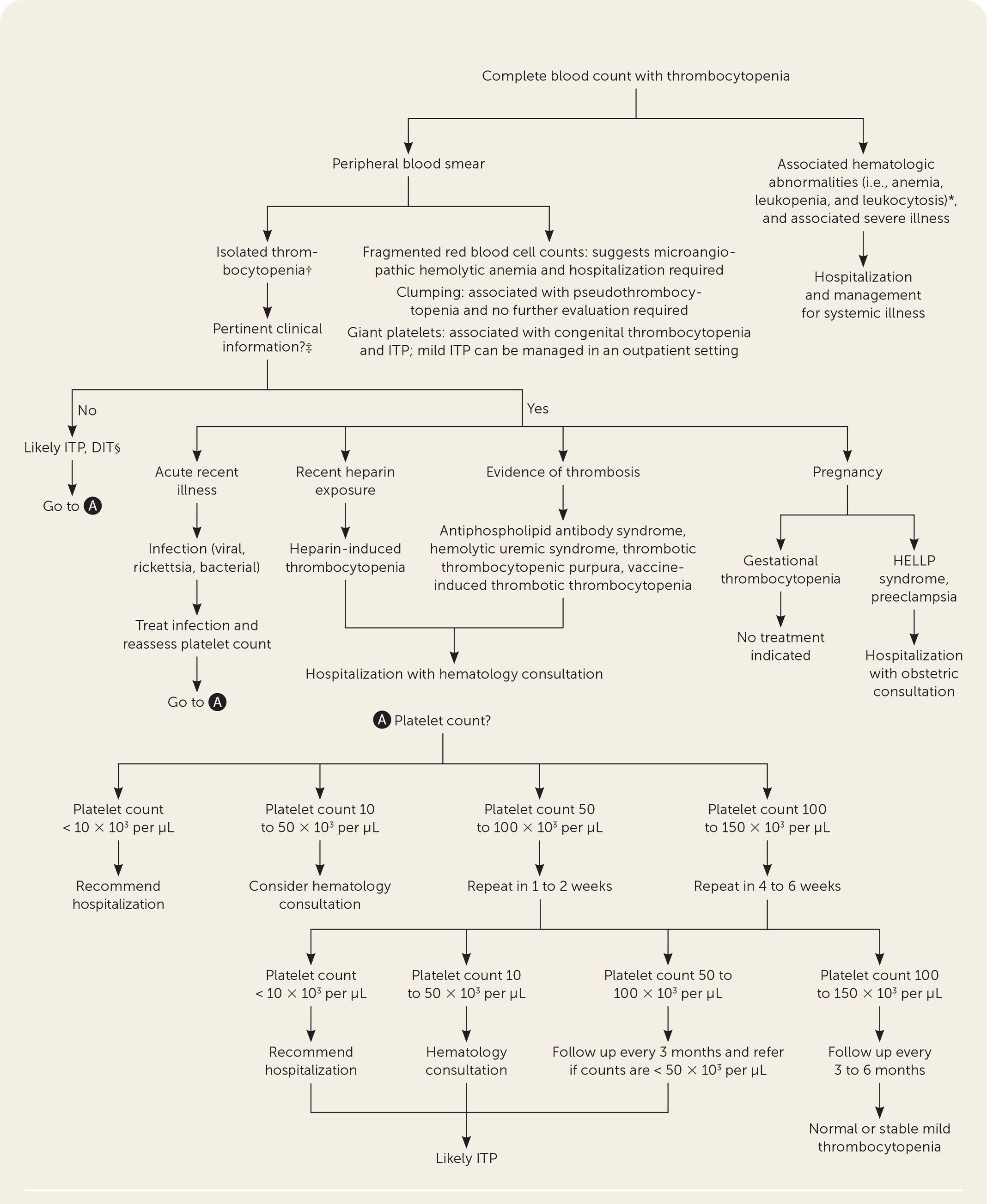 Evaluation of thrombocytopenia. DIT = drug-induced thrombocytopenia; HELLP = hemolysis, elevated liver enzymes, and low platelet count; ITP = immune thrombocytopenia. *—Autoimmune syndromes, bone marrow suppression, congenital syndromes, disseminated intravascular coagulation, hematologic or infiltrative malignancy, HELLP syndrome, hepatic disease, mechanical destruction, nutritional deficiencies, paroxysmal nocturnal hemoglobinuria, rickettsia or viral infection, thrombotic thrombocytopenic purpura, hemolytic uremic syndrome. †— Alcohol-induced thrombocytopenia, DIT, gestational thrombocytopenia, heparin-induced thrombocytopenia, ITP, rickettsia, or viral infection. ‡—Any evidence of bleeding should be referred to the emergency department. §—DIT typically resolves in 7 to 10 days after removal of the suspected agent.