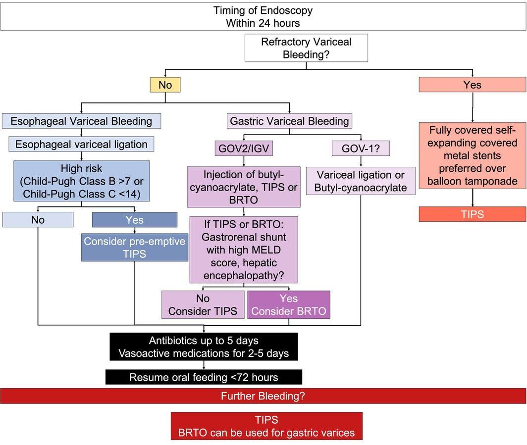 Endoscopic management and post‐endoscopic management for patients with acute upper gastrointestinal bleeding from varices.