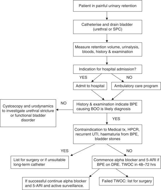 Acute urinary retention management algorithm. BOO, bladder outflow obstruction; BPE, benign prostatic enlargement; DRE, digital rectal examination; HPCR, high‐pressure chronic retention; SPC, suprapubic catheterisation; TWOC, trial without catheter; UTI, urinary tract infection.