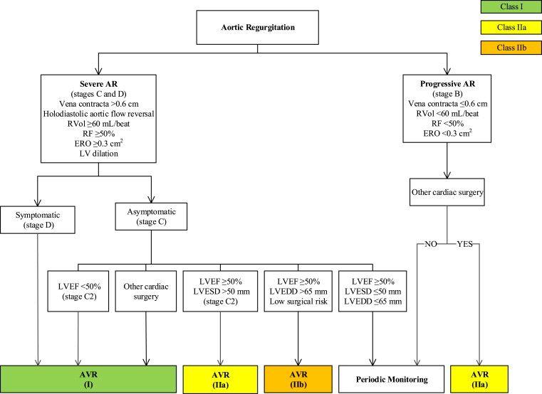 Indications for AVR for Chronic AR