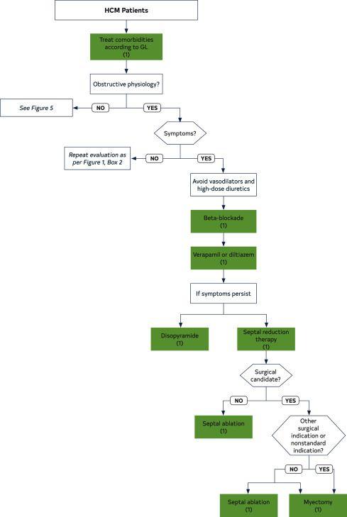 Management of Symptoms in Patients With HCM