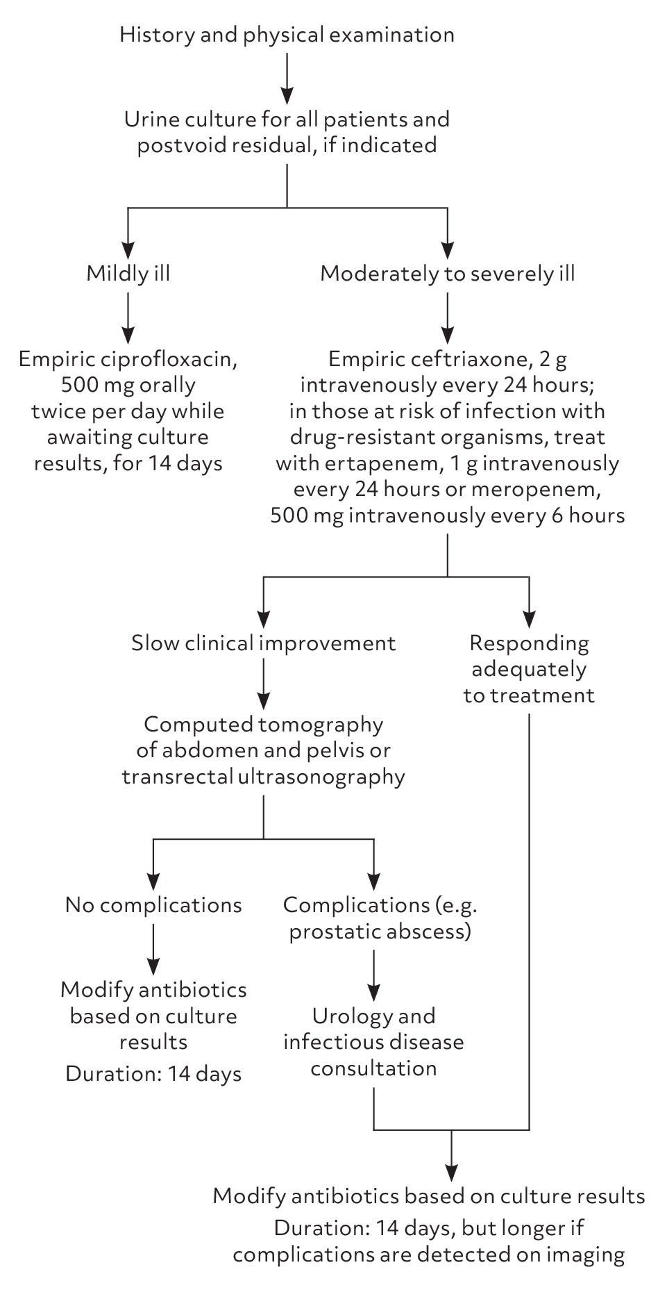 Diagnosis and treatment of acute bacterial prostatitis.
