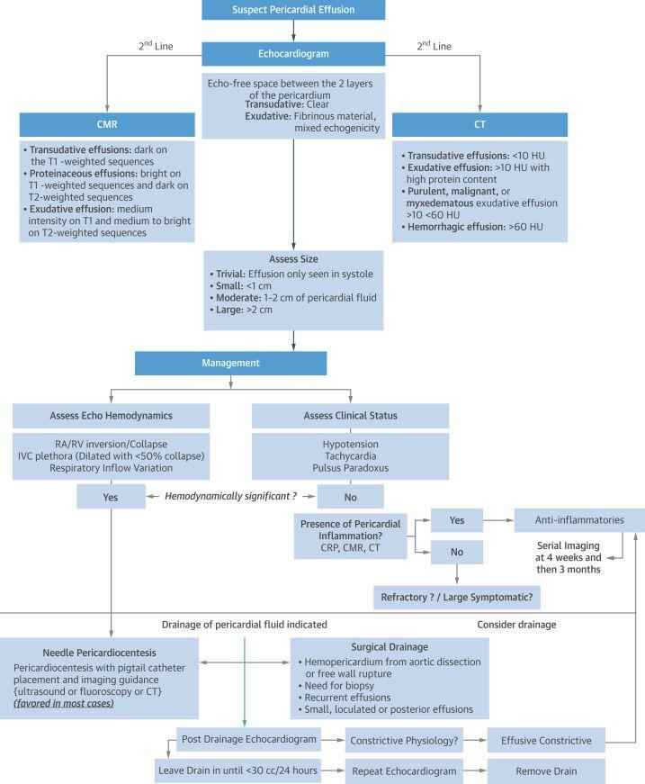 Novel Algorithm for the Diagnostic and Therapeutic Approaches to a PEff