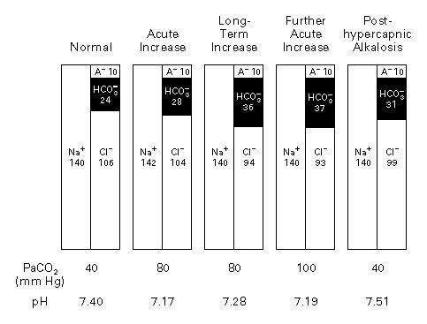 Changes in Acid–Base and Electrolyte Composition in Patients with Respiratory Acidosis.