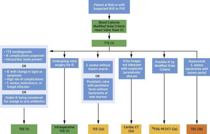 Diagnostic Algorithms for Infective Endocarditis