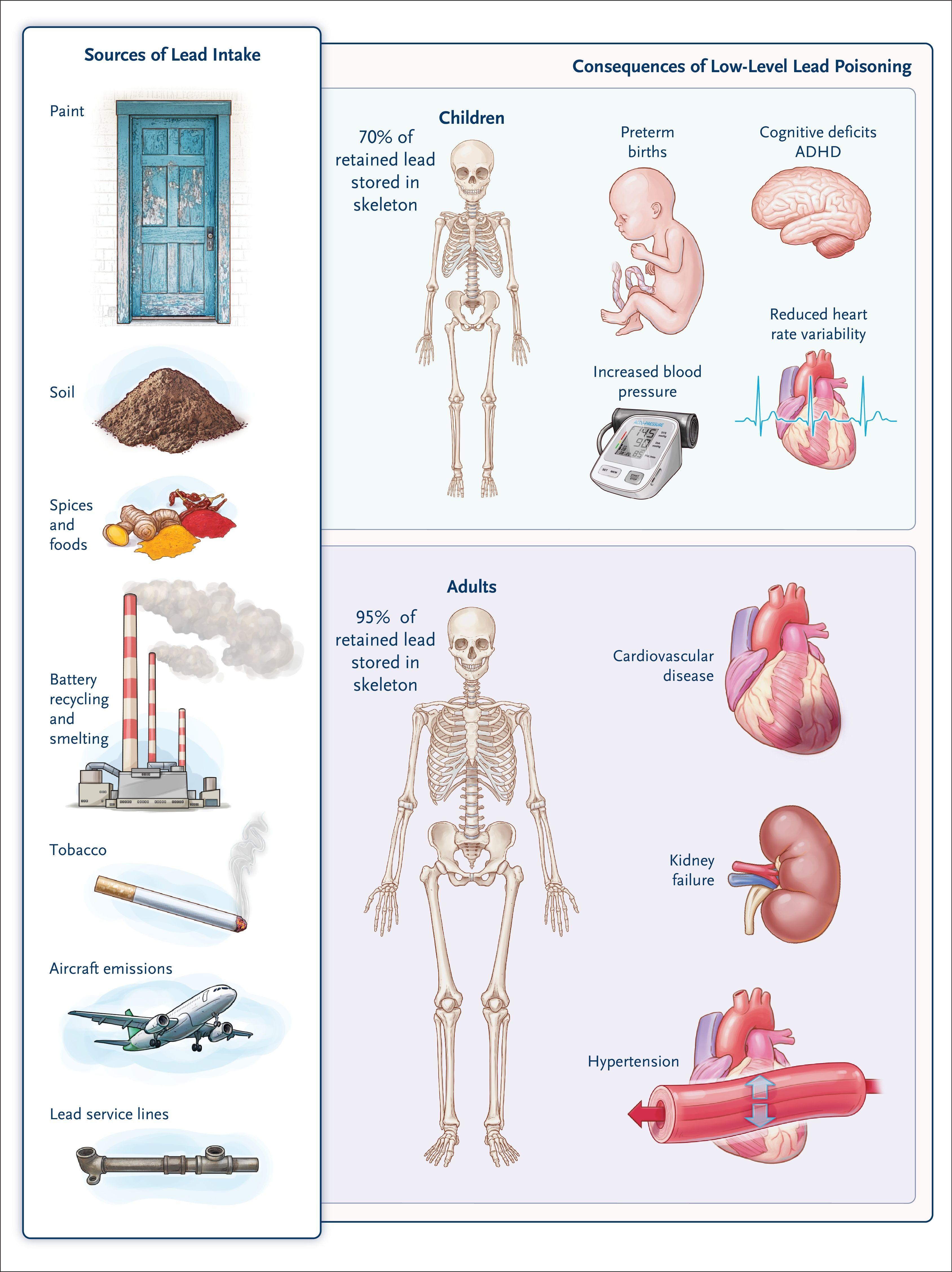 Sources of Lead Exposure and Health Effects of Lead Poisoning.