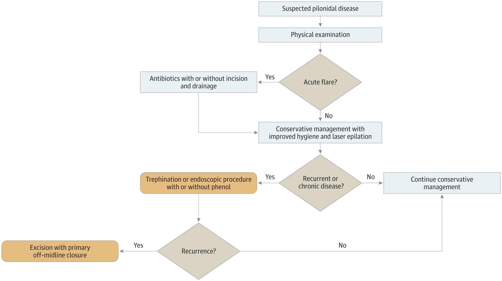 Potential Hierarchical Algorithm for Management of Pilonidal Disease