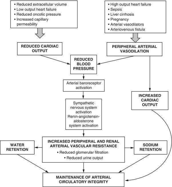 Pre‐renal failure progression (Steddon et al. / Oxford University Press).
