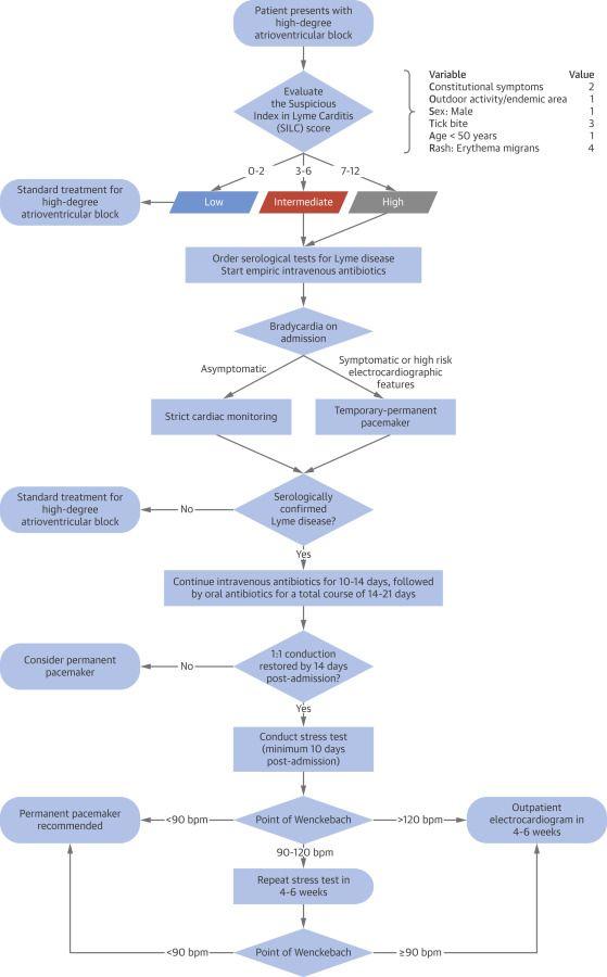 Systematic Approach to the Diagnosis and Management of LC and High-Degree AVB