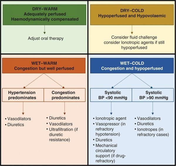 Summary of the Lynne Stevenson's four‐quadrants presentation and treatments. Source : From the European Society of Cardiology (ESC) 2016 guidelines .