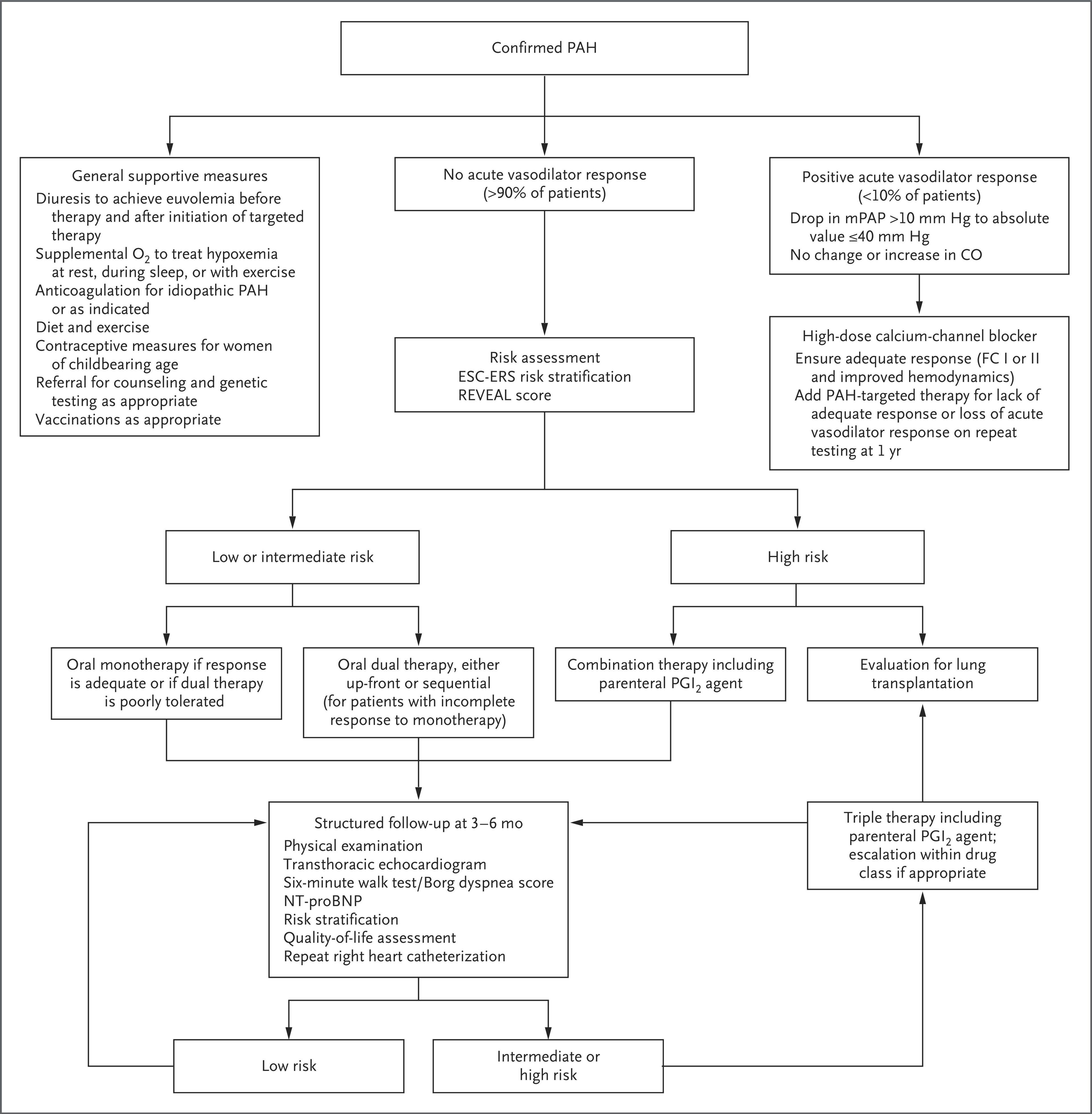 Treatment Algorithm for Confirmed PAH.