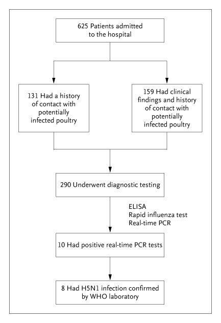 Diagnostic Testing in the Patients Evaluated.