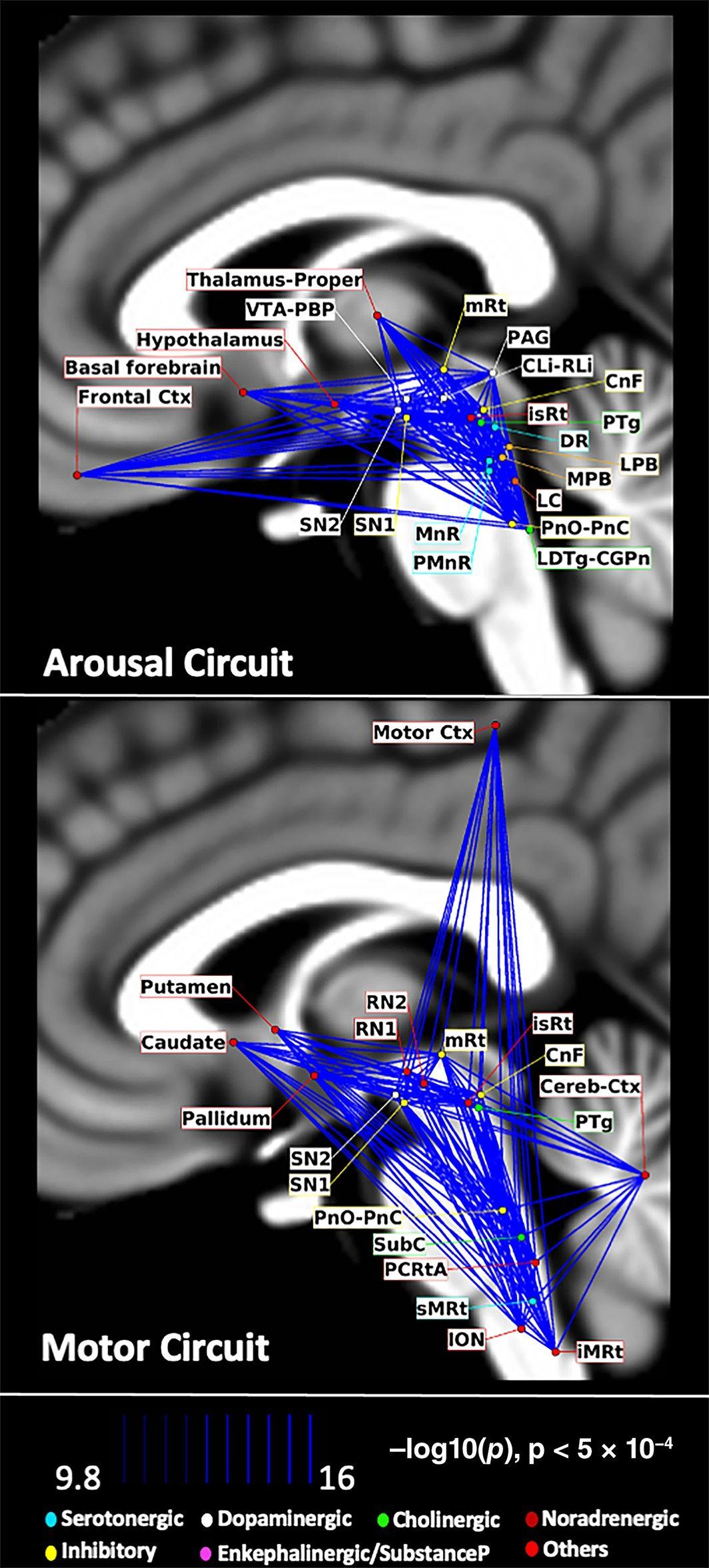 Figure 13