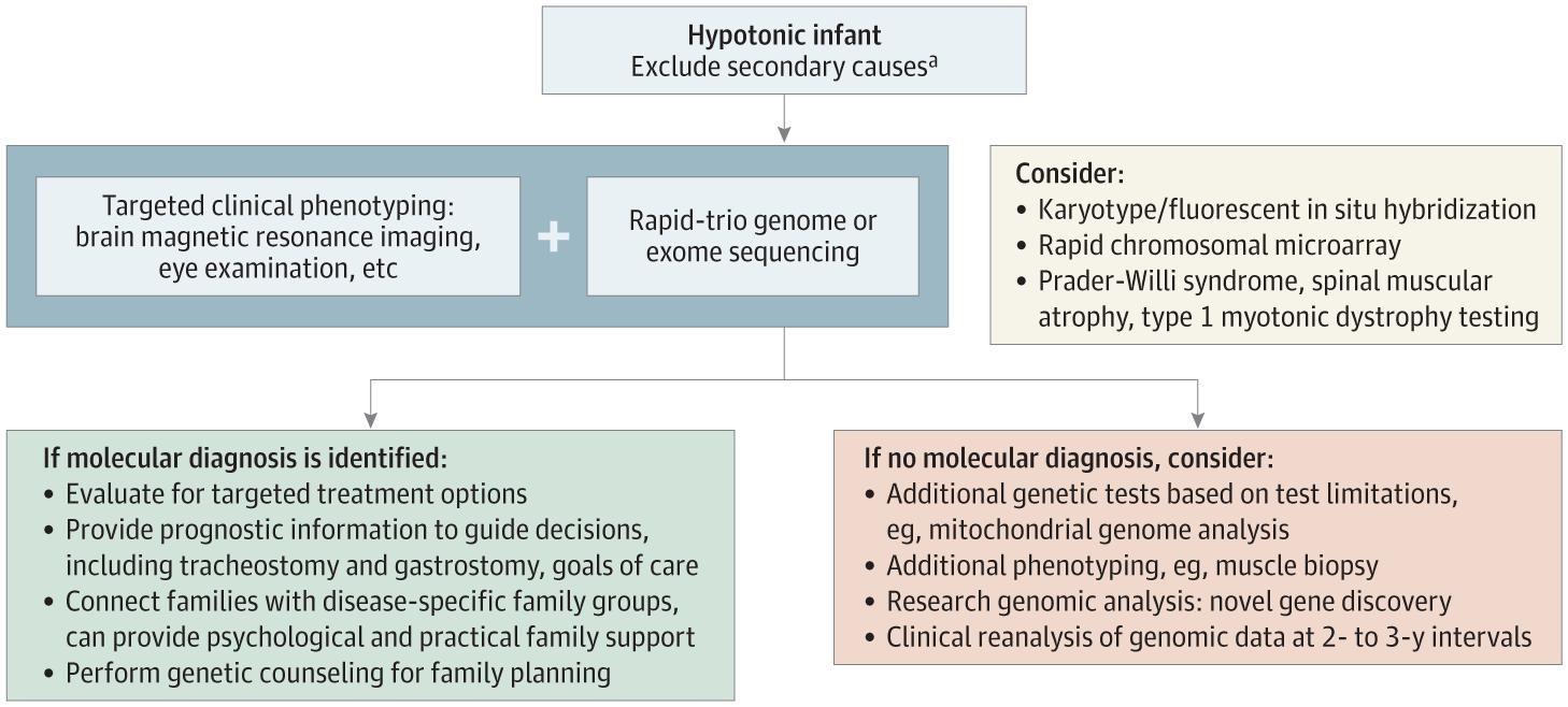 Consensus Diagnostic Algorithm for Neonatal Hypotonia