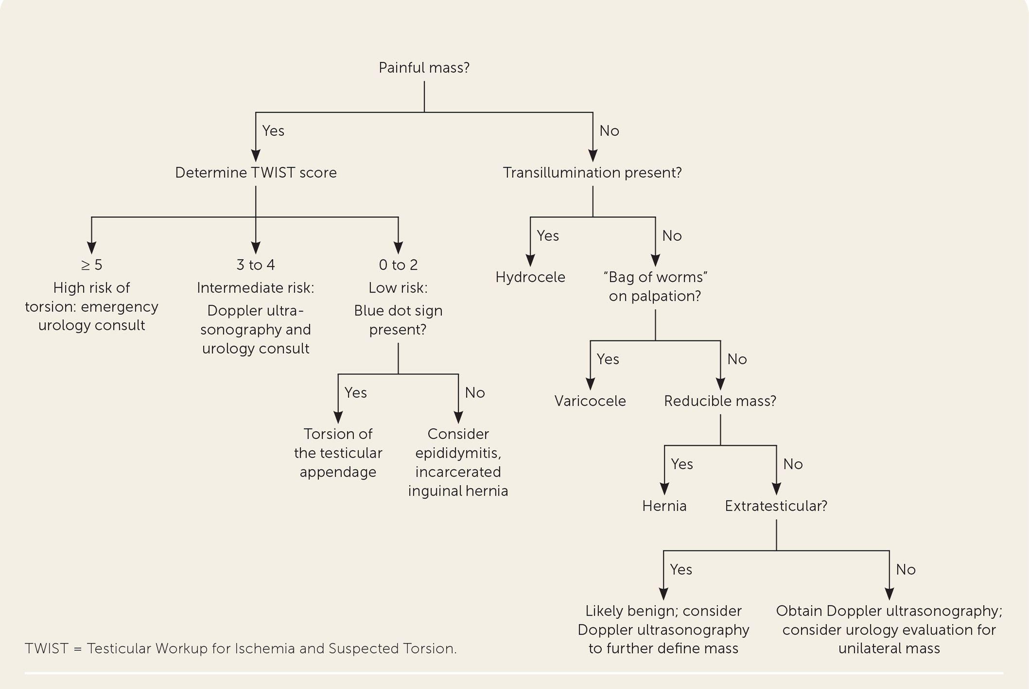 Evaluation of a scrotal mass. Adapted with permission from Crawford P, Crop JA. Evaluation of scrotal masses. Am Fam Physician. 2014;89(9):726.