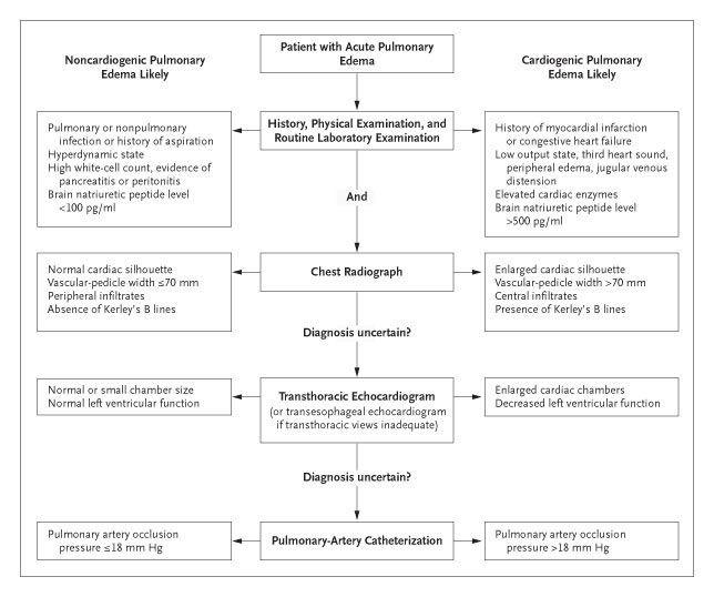 Algorithm for the Clinical Differentiation between Cardiogenic and Noncardiogenic Pulmonary Edema.