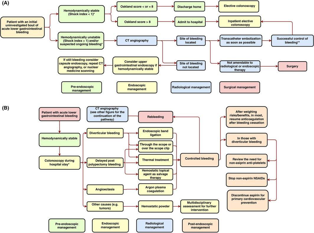 (A) Initial evaluation of patients presenting with initial uninvestigated bout of acute lower gastrointestinal bleeding.