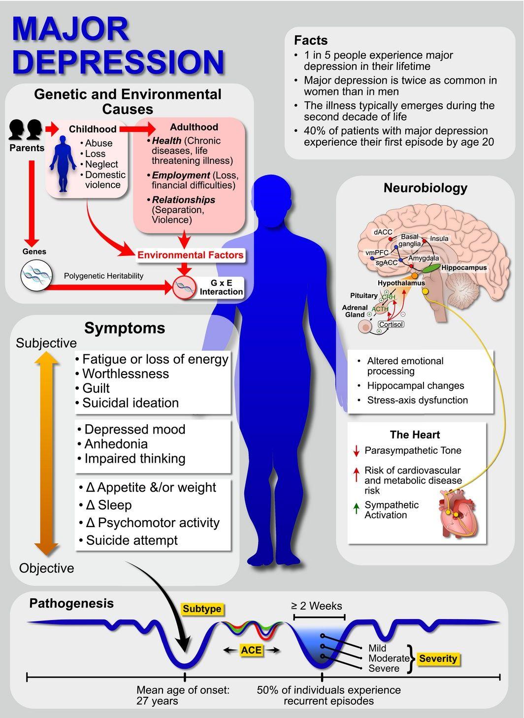 Summary of Major Depression.