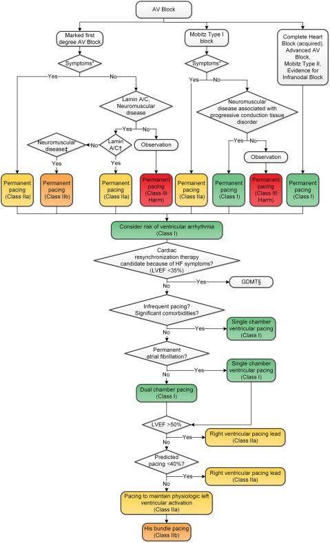 Management of Bradycardia or Pauses Attributable to Chronic Atrioventricular Block Algorithm