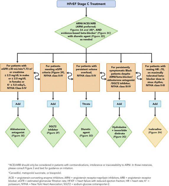 Treatment Algorithm for Guideline-Directed Medical Therapy Including Novel Therapies