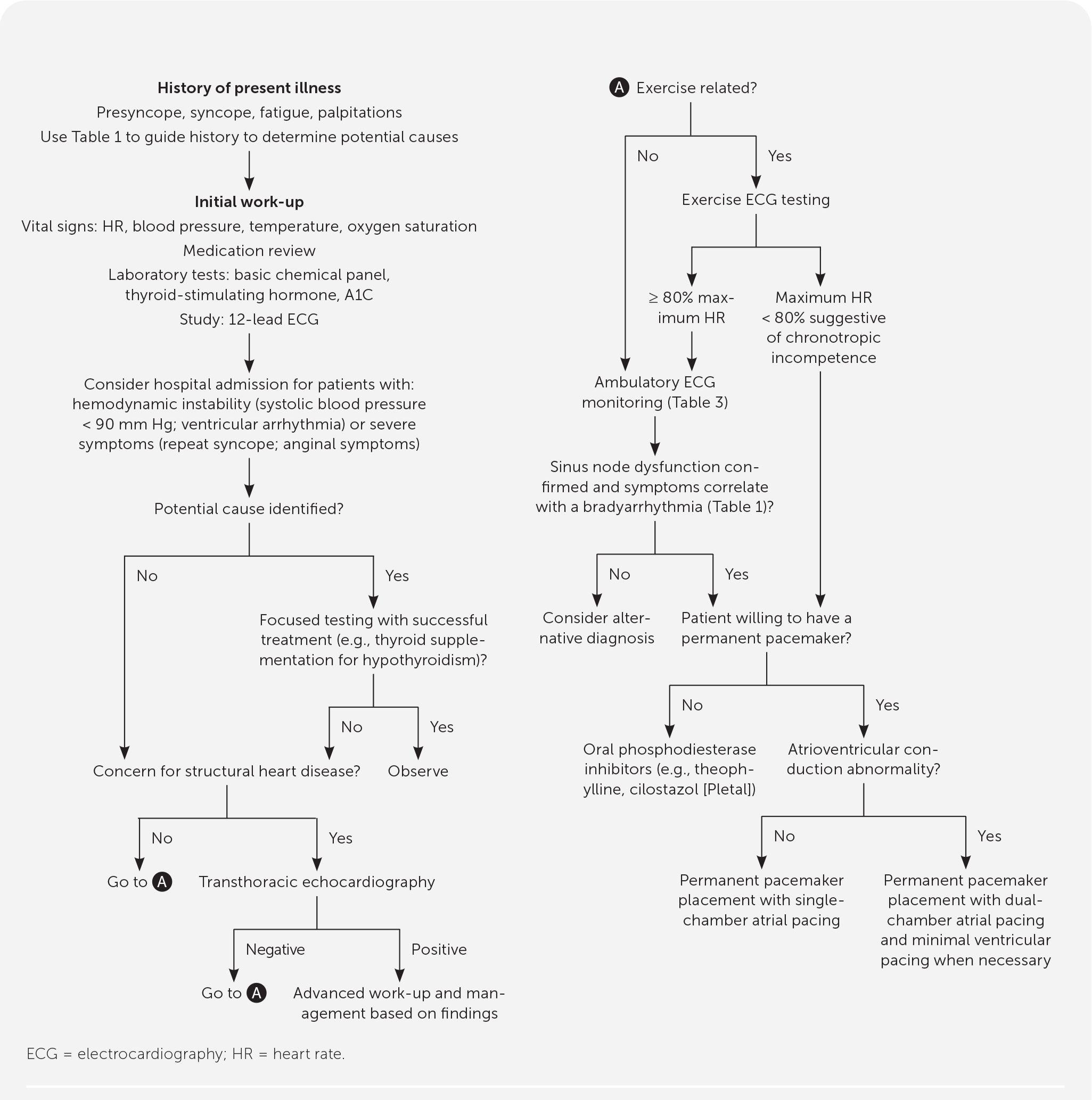 Algorithm for the evaluation and management of sinus node dysfunction. Information from references 2–4, 8, 14, 17, 21, and 24.