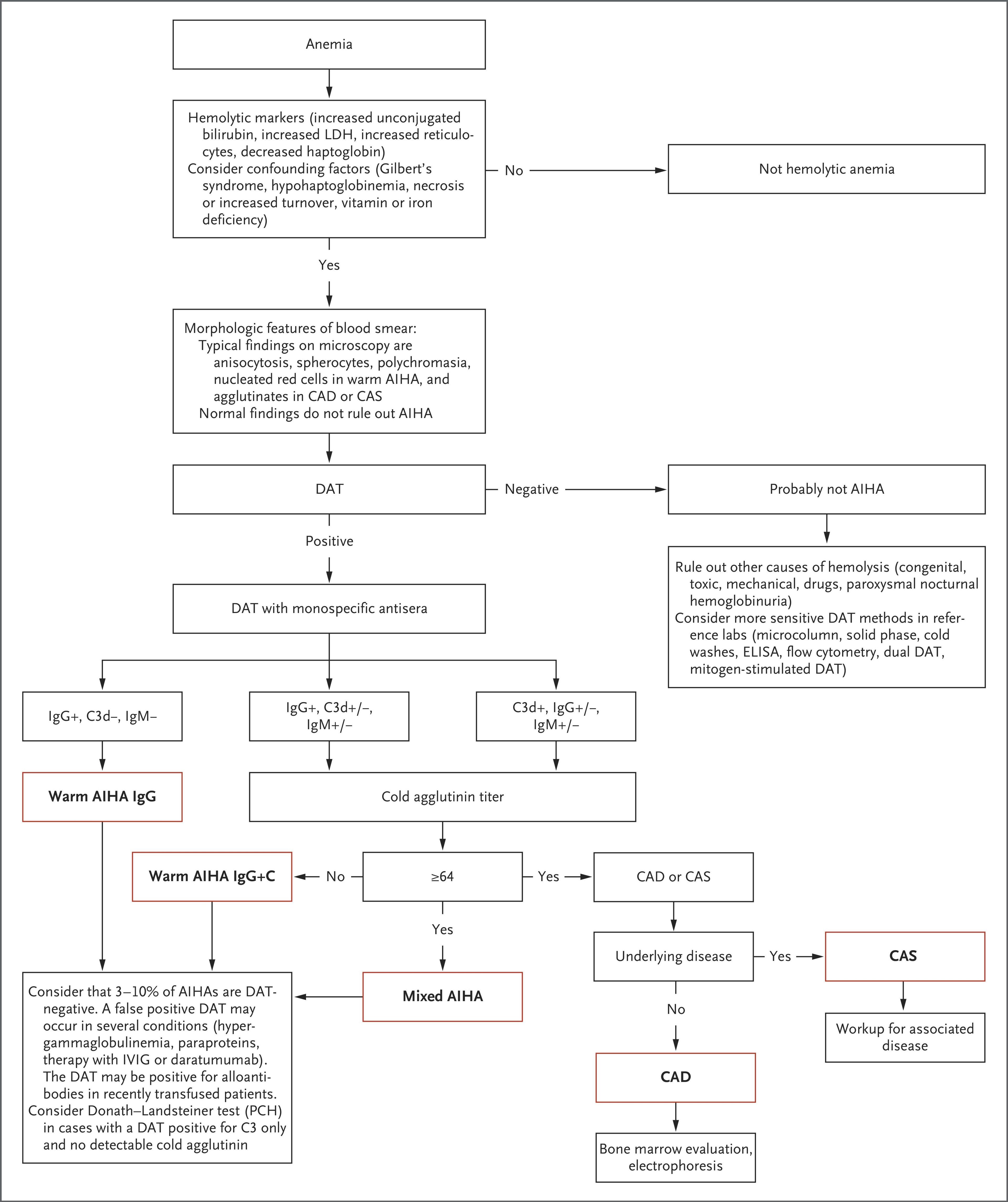 Algorithm for a Diagnostic Workup of Autoimmune Hemolytic Anemia (AIHA).