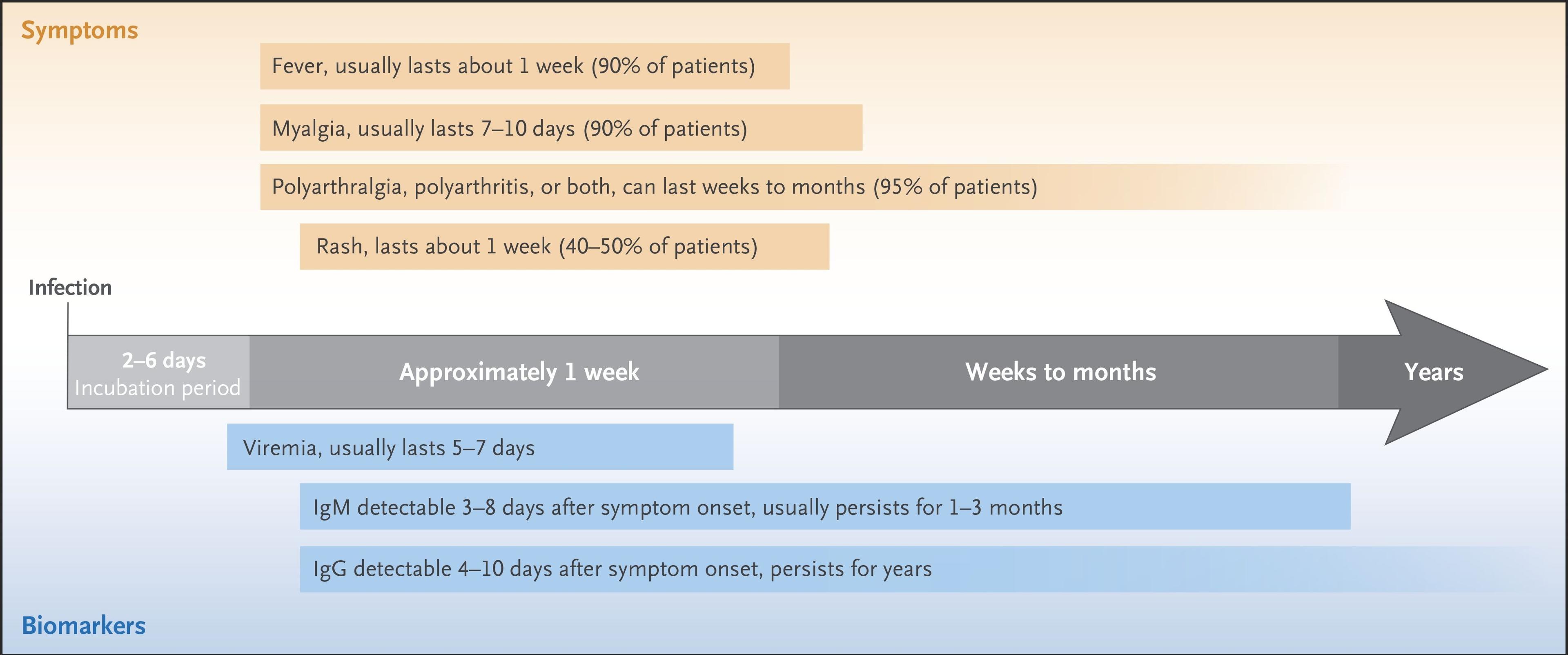Timeline of Infection, Symptoms, and Biomarkers.