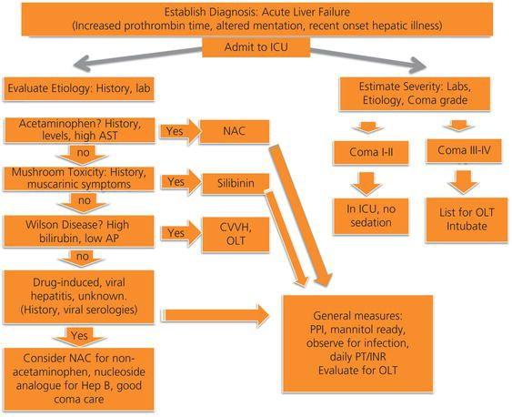 Approach to evaluation of the acute liver failure patient. It is important to identify the patient as having an acute illness with encephalopathy and coagulopathy and then to determine etiology and severity. Early consideration of transfer to a transplant center is paramount to ensure the best possible outcome. AP, alkaline phosphatase; AST, aspartate aminotransferase; CVVH, continuous venovenous hemodialysis; INR, international normalized ratio; NAC, N ‐acetylcysteine; OLT, orthotopic liver transplantation; PPI, proton pump inhibitor; PT, prothrombin time.